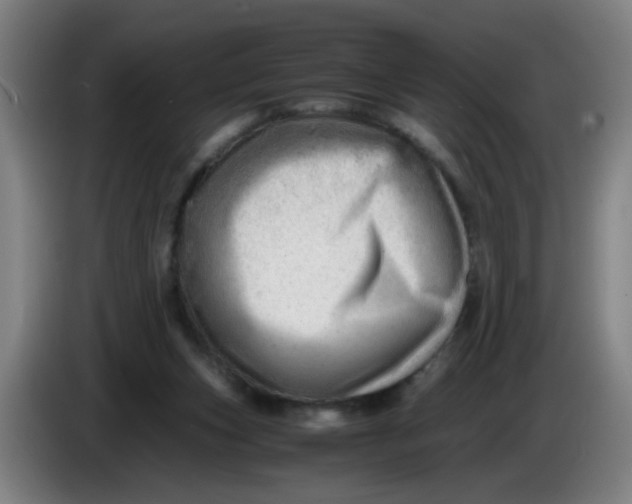 X0000085210159200703301649