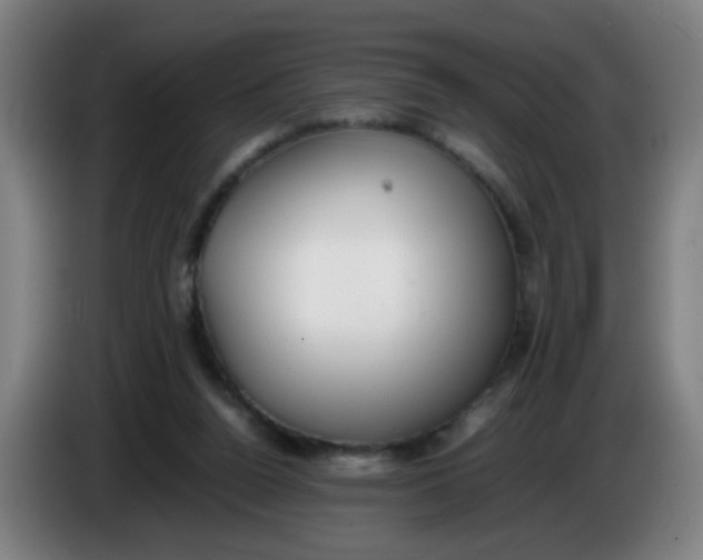 X0000085210160200703301649