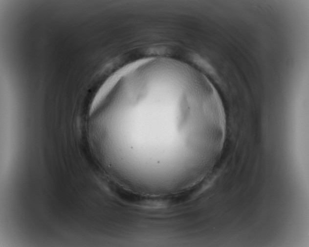 X0000085210161200703301649