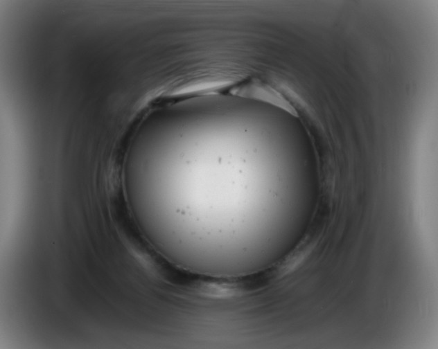 X0000085210164200703301649