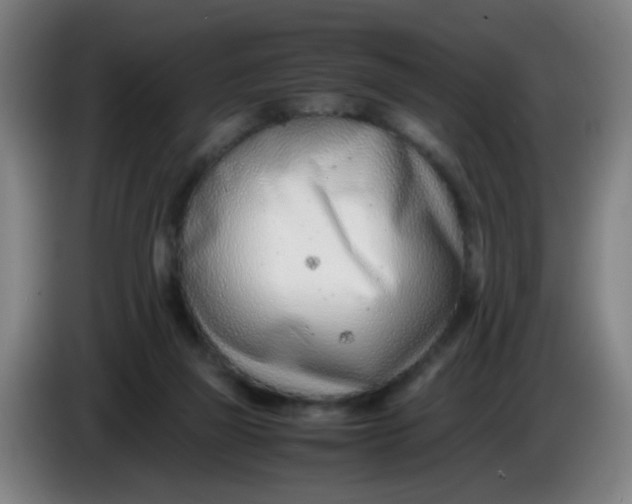 X0000085210165200703301649