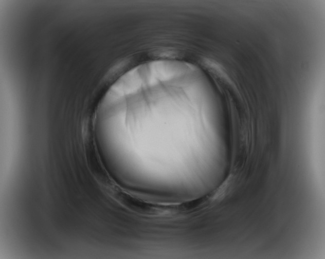 X0000085210167200703301649