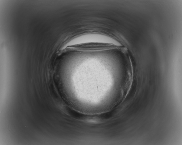 X0000085210169200703301649