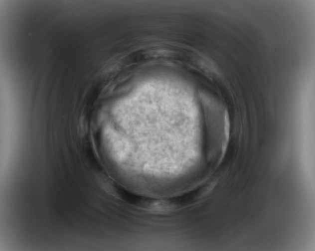 X0000085210173200703301649