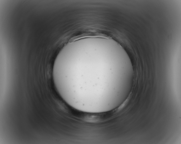 X0000085210174200703301649