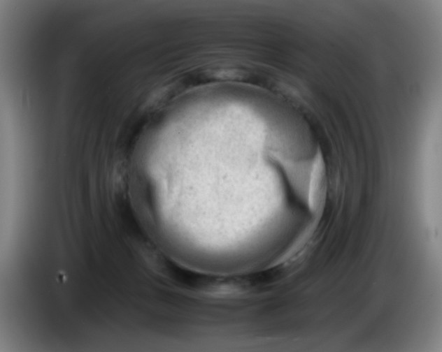 X0000085210175200703301649