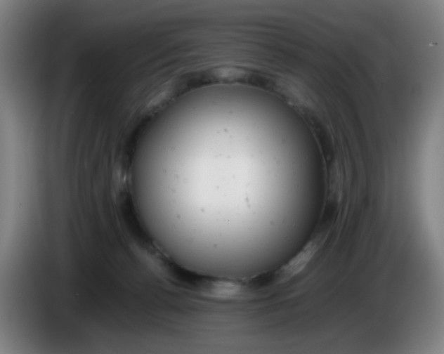 X0000085210176200703301649