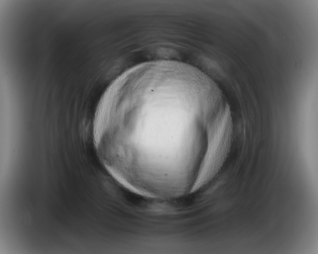 X0000085210177200703301649