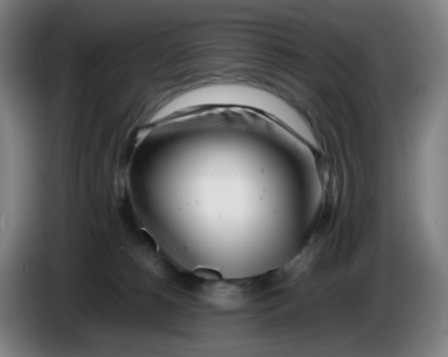 X0000085210180200703301649