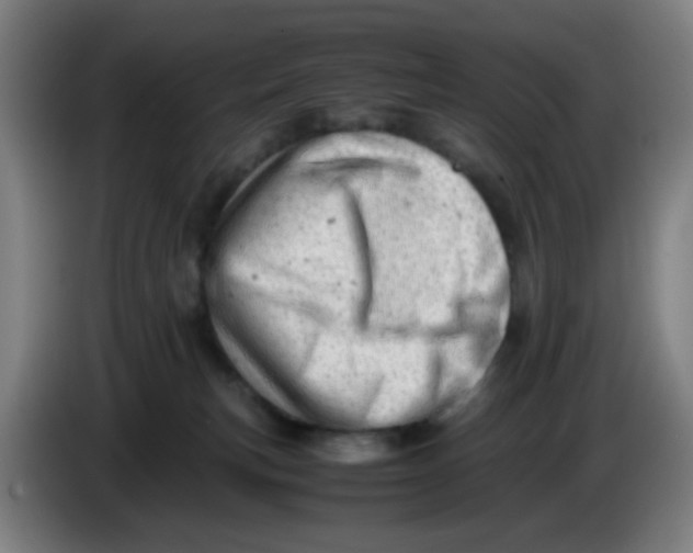 X0000085210183200703301649