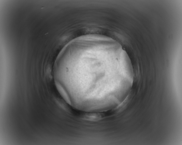 X0000085210187200703301650