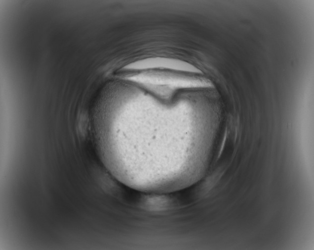 X0000085210189200703301650