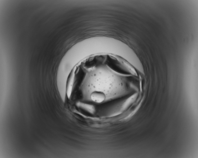 X0000085210190200703301650