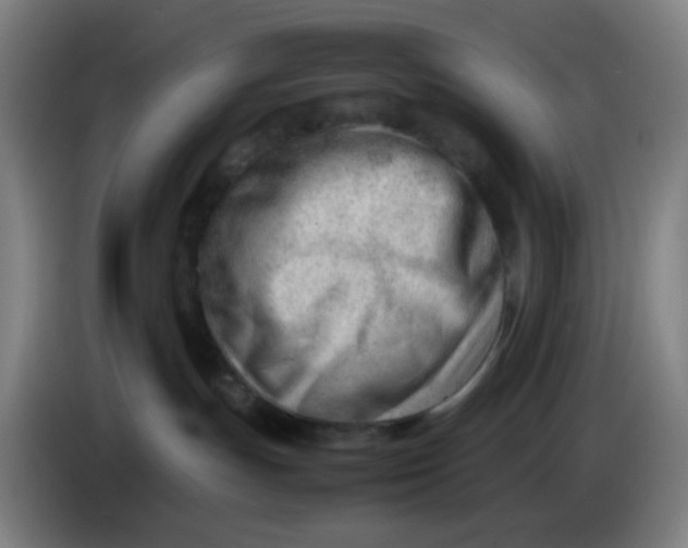 X0000085210191200703301650