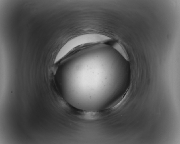 X0000085210192200703301650