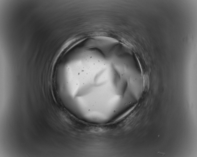 X0000085210195200703301649