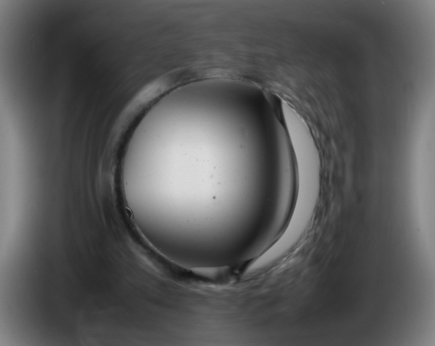 X0000085210197200703301649