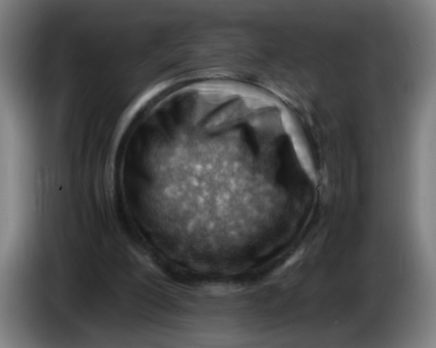 X0000085210200200703301649