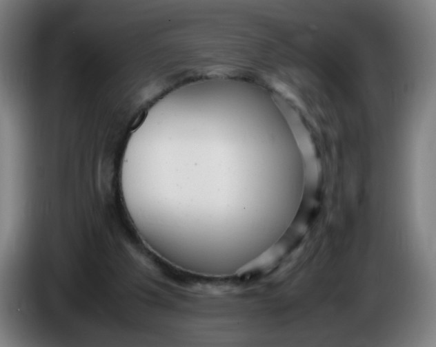 X0000085210201200703301649