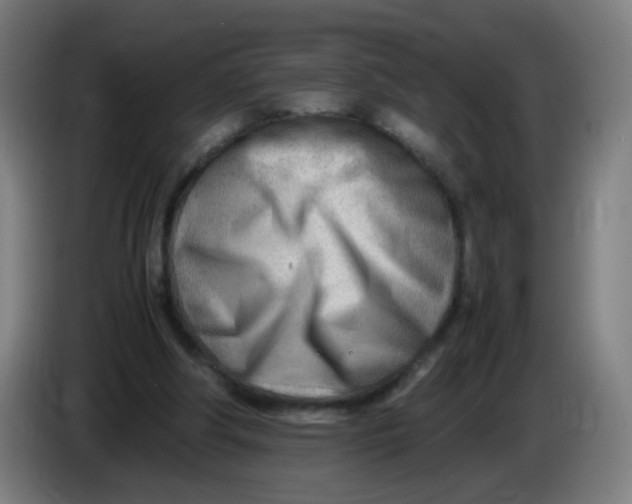 X0000085210202200703301649