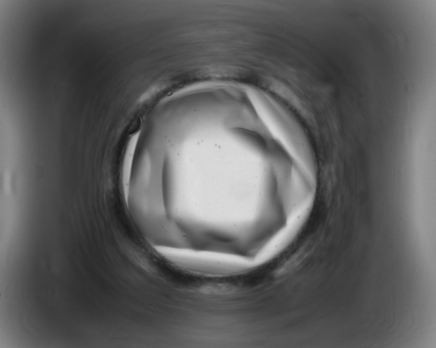 X0000085210203200703301649