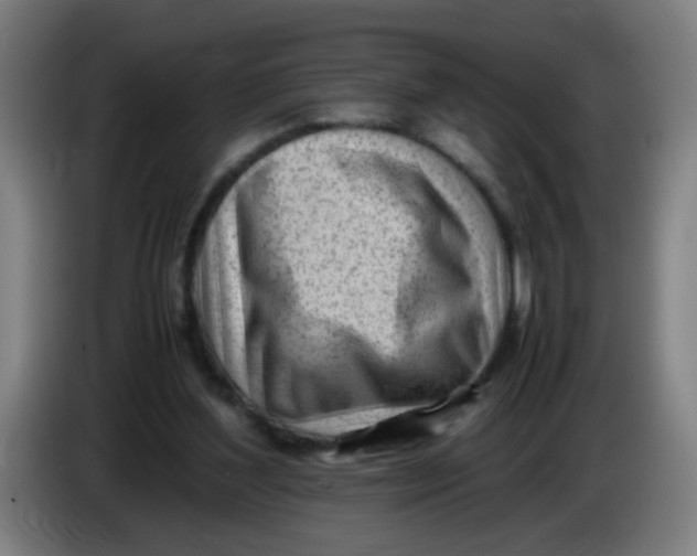 X0000085210204200703301649