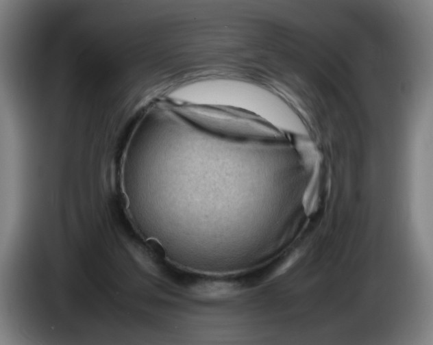 X0000085210205200703301649