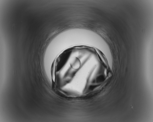 X0000085210207200703301649