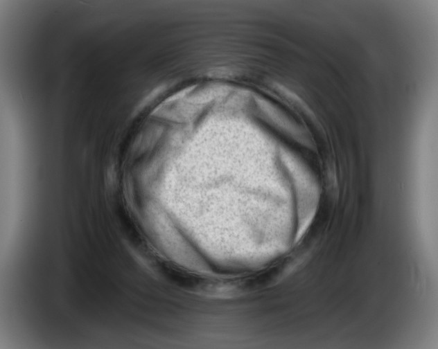 X0000085210208200703301649