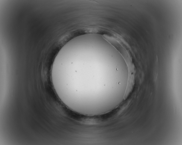 X0000085210209200703301649