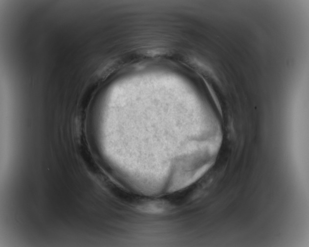 X0000085210210200703301649