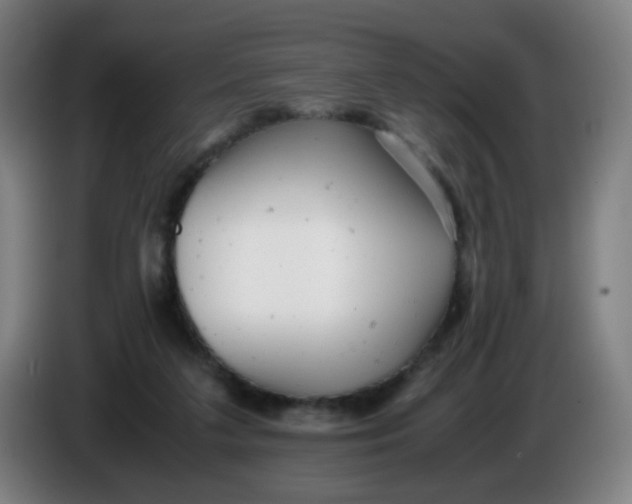 X0000085210211200703301649