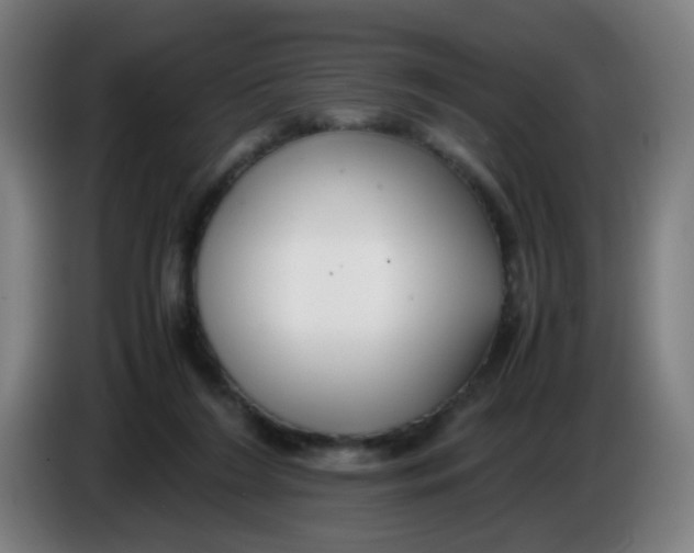 X0000085210212200703301649