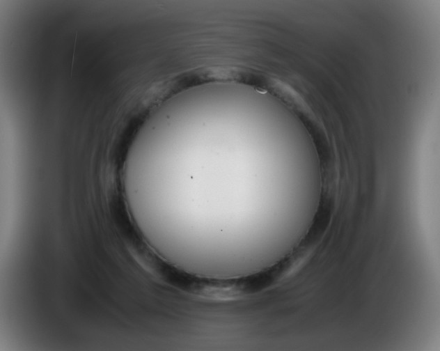 X0000085210213200703301649