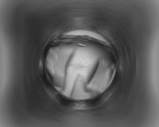 X0000085210214200703301649