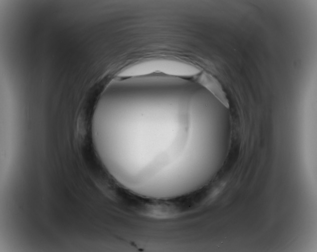 X0000085210215200703301649