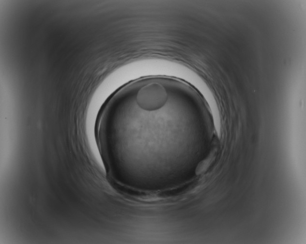 X0000085210219200703301649