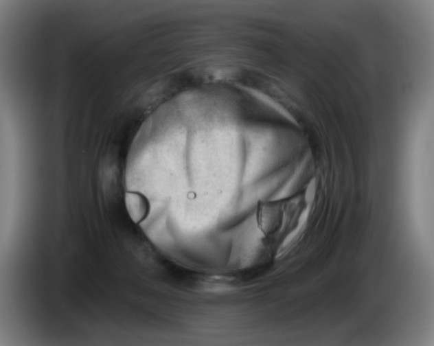 X0000085210222200703301649