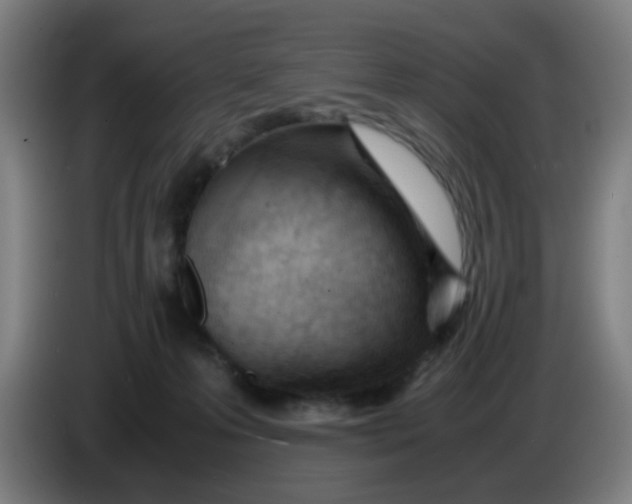 X0000085210223200703301648