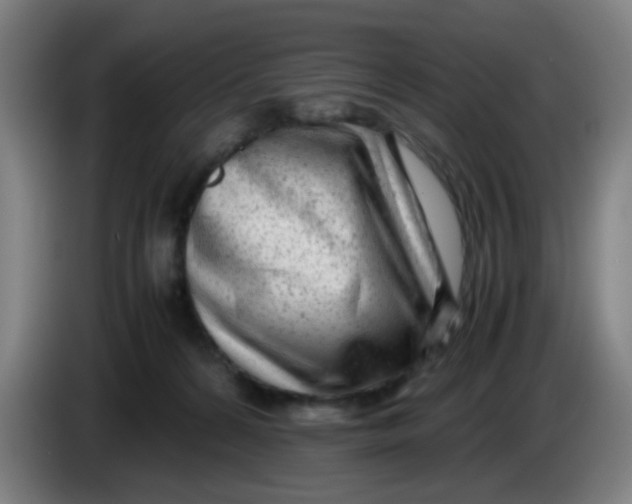 X0000085210224200703301648