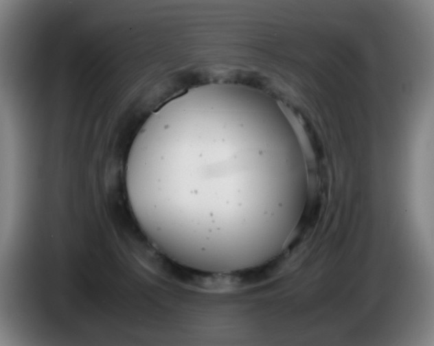 X0000085210225200703301648