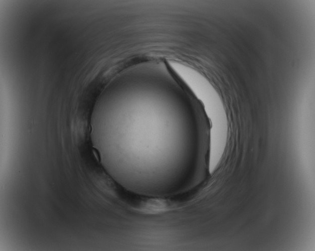 X0000085210227200703301648