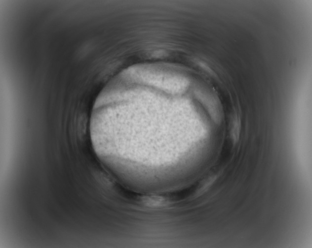 X0000085210230200703301648