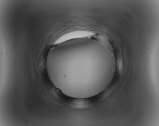 X0000085210231200703301648