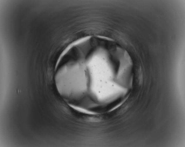 X0000085210232200703301648