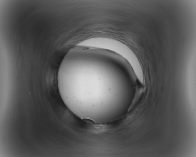 X0000085210233200703301648