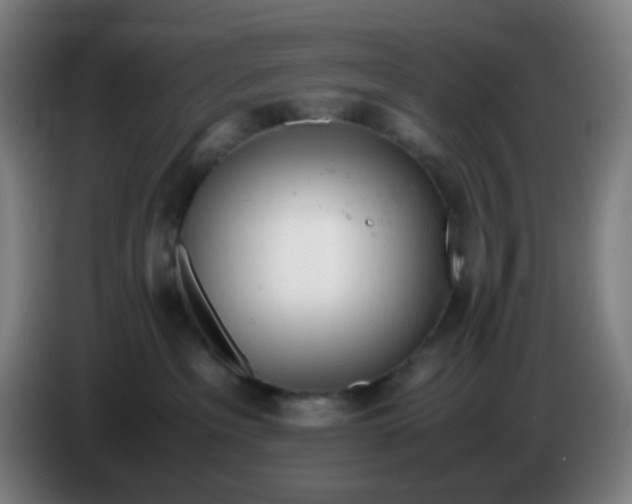 X0000085210237200703301648