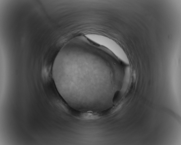 X0000085210239200703301648