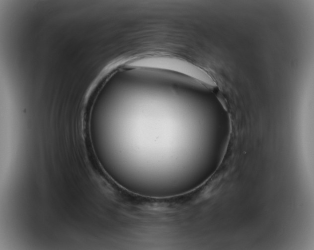 X0000085210244200703301648