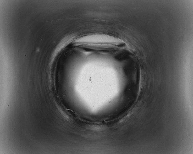 X0000085210245200703301648